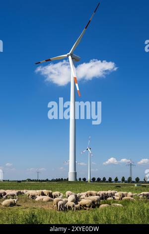 Eine Schafherde, die vor einer Windenergieanlage weidet Stockfoto