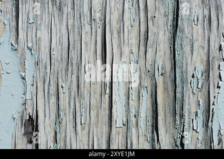 Ein großer strukturierter Hintergrund. Peeling von blauer Farbe in großen Stücken, die auf der Holzbeschichtung fehlen. Das Konzept der Ruine und der alten Antike Stockfoto