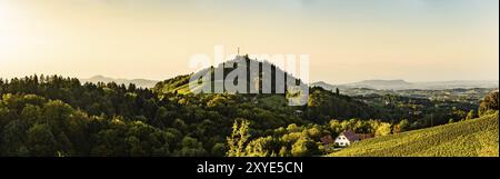 Sulztal, Steiermark Österreich, 2. Juni 2018: Weinberge Sulztal Leibnitz berühmtes Ziel Weinstraße Südsteiermark, Weinland im Sommer. Touris Stockfoto