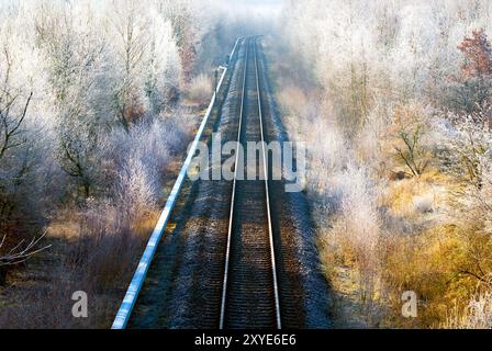 Bahngleise in einem Wald mit Raureif Stockfoto