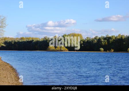 Kuehkopf am Alten Rhein Stockfoto