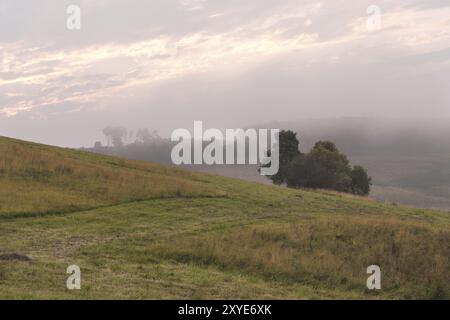 Sommerlandschaft der schrägen Felder des Kaukasus mit zylindrischen Heuballen bei Sonnenuntergang und grünen schönen Bäumen. Eine klassische ländliche Landschaft Stockfoto