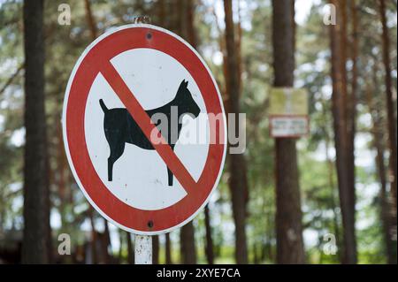 Keine Hunde im Waldschild Stockfoto