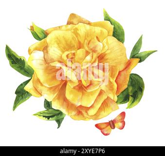 Aquarell Zeichnung der lebendige gelb rose Blume mit Schmetterling, isoliert auf weißem, Hand im Stil der alten botanischen Art dekorativ bemalte e Stockfoto