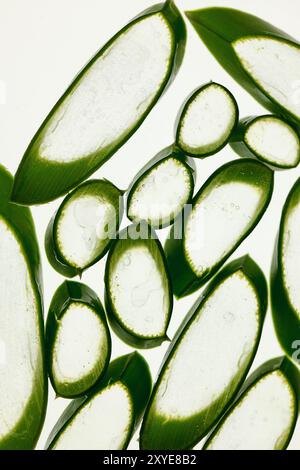 Frische Aloe-Vera-Blätter Stockfoto