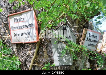 Viele Schilder auf einem Baum Stockfoto