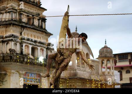 Puschkar, Indien. August 2024. Die hinduistische Jugend nimmt an einem Ritual zum Janmashtami-fest Teil, bei dem die Geburt der hinduistischen Gottheit Krishna am 28. August 2024 im alten Rangji-Tempel in Pushkar, Rajasthan, Indien, gefeiert wird. Foto von ABACAPRESS. COM Credit: Abaca Press/Alamy Live News Stockfoto