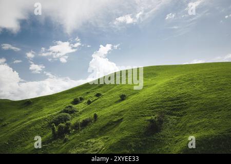 Ein sanfter Hang eines grünen Hügels mit seltenen Bäumen und üppigem Gras vor einem blauen Himmel mit Wolken. Das Sonoma Valley Stockfoto