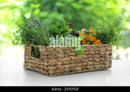 Verschiedene aromatische Kräuter im Korb auf weißem Holztisch vor verschwommenem Hintergrund Stockfoto