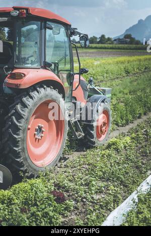Traktor auf eine Landwirtschaft Bereich ausschneiden Stockfoto
