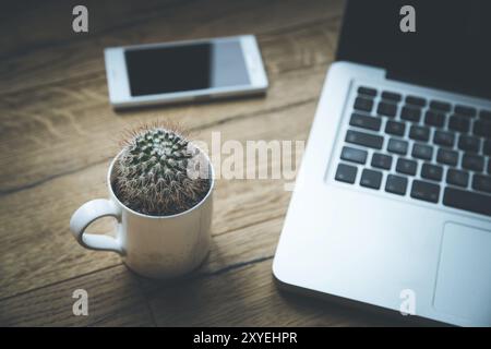 Arbeitsbereich von oben: Laptop und Kaktus auf einem hölzernen Schreibtisch Stockfoto