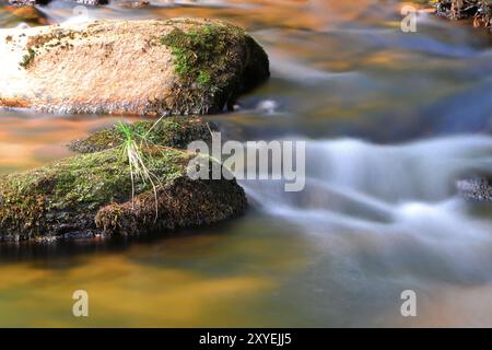 Bergbach im Nationalpark Harz Stockfoto