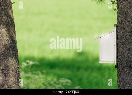 Minimalistisches Vogelhaus am Baumstamm in üppiger grüner Wiese in Norwegen Stockfoto