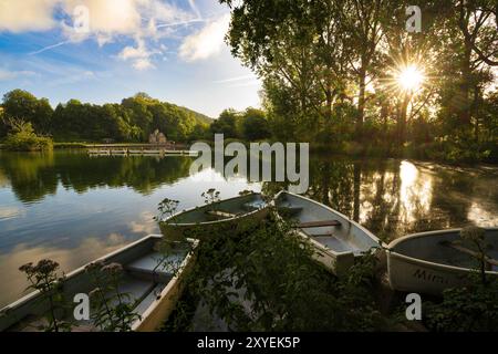 Sonnenaufgang am Swanbourne Lake, Arundel, West Sussex, England, Großbritannien Stockfoto