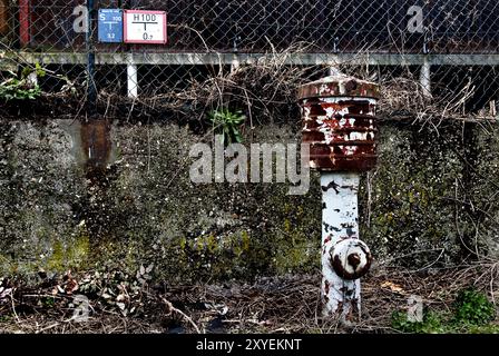 Alter Hydrant Stockfoto