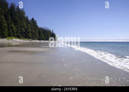 China Beach Sandstrand im Sommer, mystische, Strand, Landschaft, Juan de Fuca Provincial Park Landschaft, Port Renfrew, South Shore von Vancouver Island, Briti Stockfoto