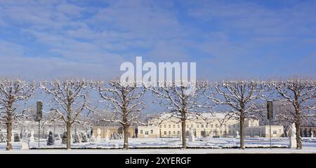 Schneebedeckte Bäume, Hannover-Herrenhausen, Niedersachsen, Deutschland, Europa Stockfoto