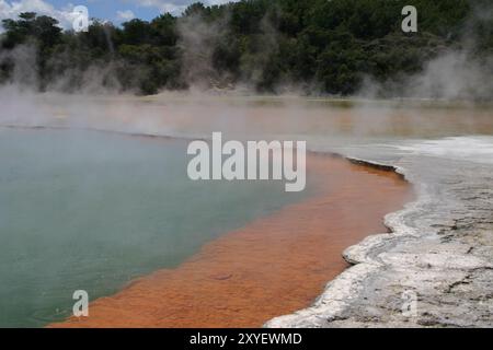 Heiße Quelle im Wai-O-Tapu Thermalgebiet in der Nähe von Rotorua, Neuseeland, Ozeanien Stockfoto