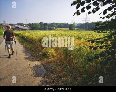 Ein älterer Bürger Nordic Walking auf einer Landstraße Stockfoto