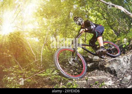 Ein junger Fahrer auf einem Fahrrad, der bergab fährt, steigt die Felsen im Wald ab Stockfoto