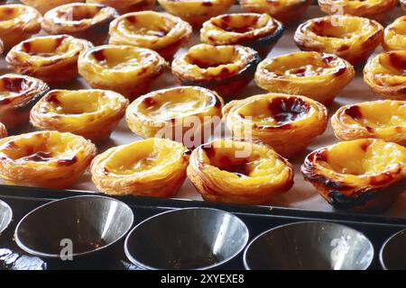 Reihen von Ei tart, traditionelle portugiesische Dessert, Pastel de Nata, Pudding Stockfoto