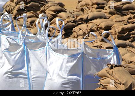 Sandsäcke auf Paletten während der Überschwemmungen in Magdeburg 2013 Stockfoto