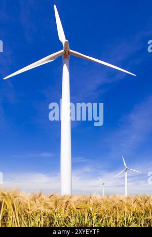 3 Windenergieanlagen in Getreide Stockfoto