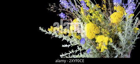 Blumenstrauß aus frischem Lavendel und gelben Wildblumen auf schwarzem Banner Hintergrund mit Copyspace Stockfoto