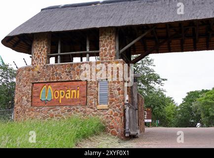 Mopani, staatliches Camp im Kruger Nationalpark Suedafrika Stockfoto