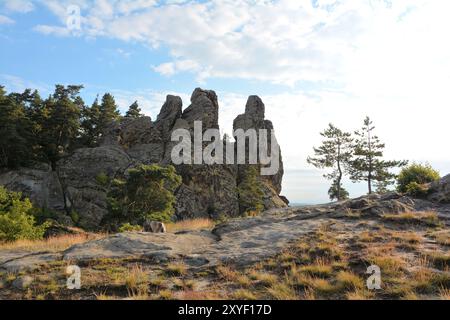 Die Felsformation Devil's Wall bei Timmenrode im Nationalpark Harz Stockfoto