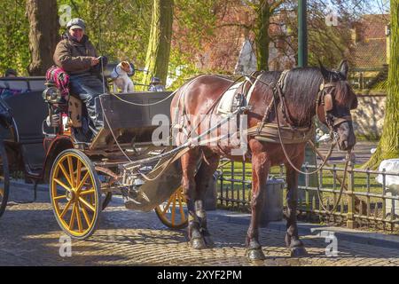 Brügge, Belgien, 10. April 2016: Fiaker mit braunem Pferd wartet auf Touristen im beliebten belgischen Reiseziel Brügge, Europa Stockfoto