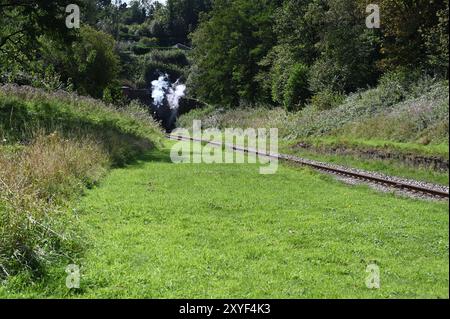 Zwei Dampffedern treten aus einem Eisenbahntunnel aus, nachdem eine Dampflokomotive durchfuhr. Stockfoto