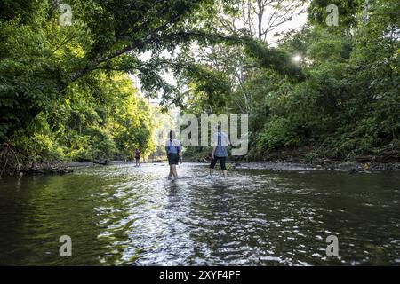 Junge Frau und Mann im tropischen Regenwald überqueren einen Bach, Touristen waten durch einen Bach, Corcovado Nationalpark, Osa Halbinsel, Puntarena Stockfoto