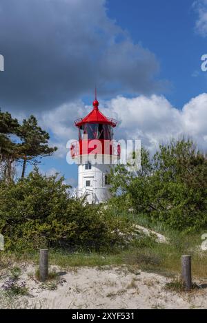 Der Leuchtturm Gellen erhebt sich an der Südspitze der Insel Hiddensee, Nationalpark Vorpommersche Boddenlandschaft, Neuendorf, Mecklenburg-Vorpo Stockfoto