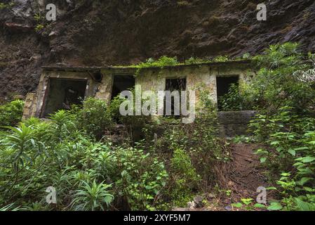 Verlassene Häuser im tropischen Wald Badajoz Canyon Barranco de Badajoz Teneriffa, Kanarische Inseln, Spanien, Europa Stockfoto