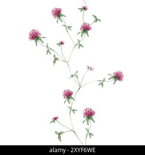 Nahtloses Banner mit handgezeichneter botanischer Illustration mit Wiese Wildpflanze Rotklee (Trifolium). Rand mit violetten Blüten und Blättern Stockfoto