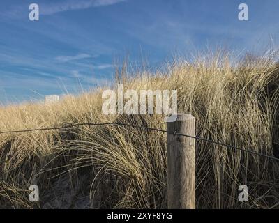 Eine Düne mit einem Zaun an der Ostseeküste Stockfoto