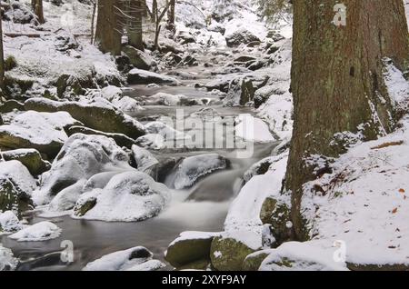 Gruenbach im Riesengebirge im Winter, Bach im Riesengebirge im Winter Stockfoto