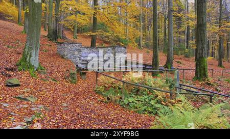 Spreequelle am Kottmar, Spree-Quelle am Kottmarer Berg in Sachsen Stockfoto