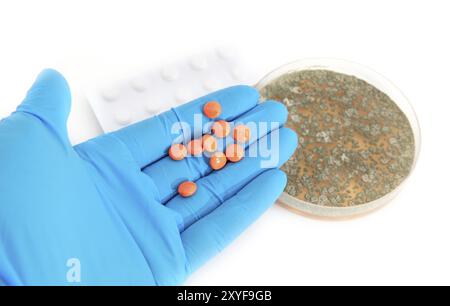 Orangenpillen am Arm im Handschuh und Pilze über weiß Stockfoto