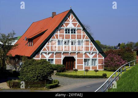 Europa, Deutschland, Niedersachsen, altes Land bei Hamburg, Steinkirchen an der Luehe, altes Fachwerkbauernhaus, künstlerisches Ziegelwerk des Fachwerkwerks Stockfoto