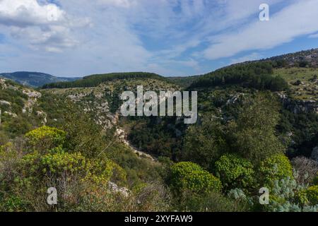 Blick hinunter auf den Canyon des Anapo-Tals mit Fluss im Naturschutzgebiet Pantalica im Frühling, Siracusa, Sizilien, Italien Stockfoto