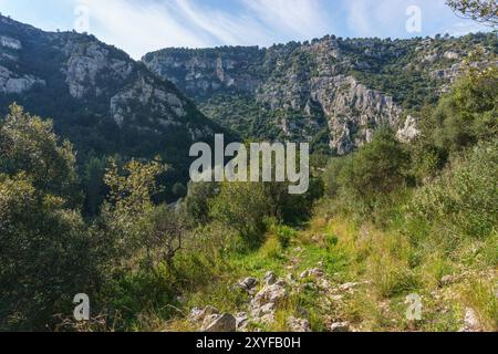 Blick hinunter auf die felsige Schlucht des Anapo-Tals im Naturschutzgebiet Pantalica, Siracusa, Sizilien, Italien Stockfoto