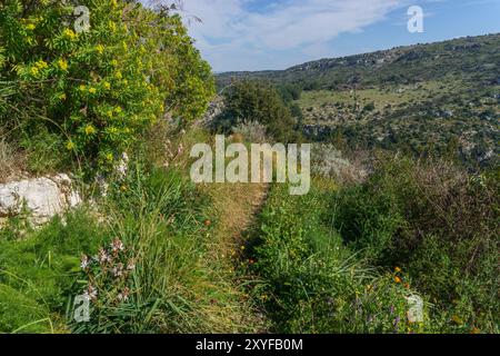 Wanderweg neben blühenden Blumen auf der Wiese im Anapo-Tal im Naturschutzgebiet Pantalica im Frühling, Siracusa, Sizilien, Italien Stockfoto