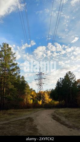 Vertikales Foto von Stromleitungen in einem Herbstwald unter blauem Himmel am späten Nachmittag Stockfoto