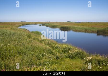 Der wunderschöne Fluss Skjern an einem warmen Sommermorgen zwischen Lonborg und Skjern Stockfoto