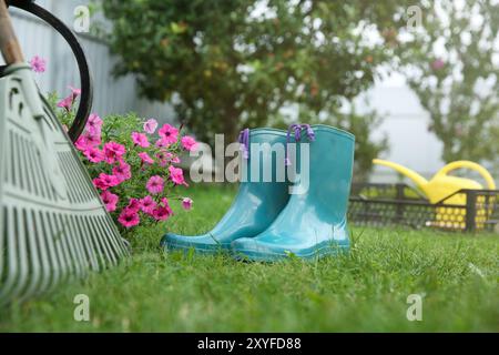 Gummistiefel, Gartengeräte und Petunienblüten auf grünem Gras im Freien Stockfoto