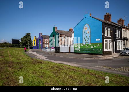 Kirkdale, Liverpool, UK, Flower Street Project 29. August 2024. Das Flower Streets Project ist eine Feier von Kirkdale und seinen Bewohnern und hat bereits neun großformatige Wandmalereien am Giebelende von Häusern hervorgebracht – jedes repräsentiert die gleichnamigen Blumen jeder Straße. Die Kunstwerke sind eine Feier der Gemeinschaft und zielen darauf ab, das Gebiet zu verjüngen und das Thema antisoziales Verhalten zu behandeln. Und jetzt werden zwei weitere unglaubliche Arbeiten in die Kollektion aufgenommen. Die bildende Künstlerin Madeleine Pires, die für alle bisherigen Arbeiten verantwortlich war, kehrte nach Kirkdale zurück Stockfoto