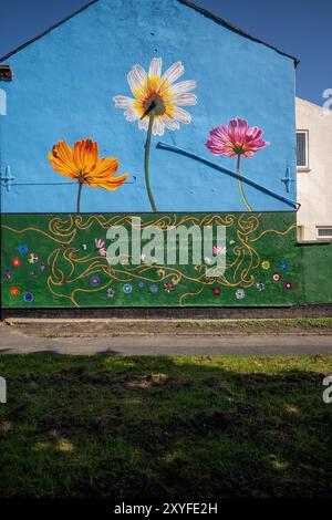 Kirkdale, Liverpool, UK, Flower Street Project 29. August 2024. Das Flower Streets Project ist eine Feier von Kirkdale und seinen Bewohnern und hat bereits neun großformatige Wandmalereien am Giebelende von Häusern hervorgebracht – jedes repräsentiert die gleichnamigen Blumen jeder Straße. Die Kunstwerke sind eine Feier der Gemeinschaft und zielen darauf ab, das Gebiet zu verjüngen und das Thema antisoziales Verhalten zu behandeln. Und jetzt werden zwei weitere unglaubliche Arbeiten in die Kollektion aufgenommen. Die bildende Künstlerin Madeleine Pires, die für alle bisherigen Arbeiten verantwortlich war, kehrte nach Kirkdale zurück Stockfoto