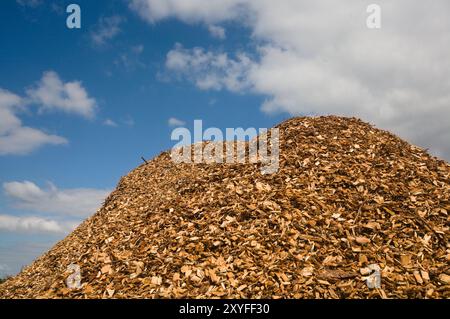 Holzspanhaufen bei Ulfborg und Holstebro in Jütland Dänemark Stockfoto